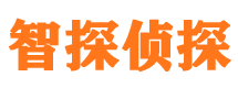 迎江侦探公司